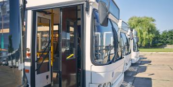 White busses lined up